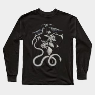 Snake, Bird, and Cucumis, Unknown Long Sleeve T-Shirt